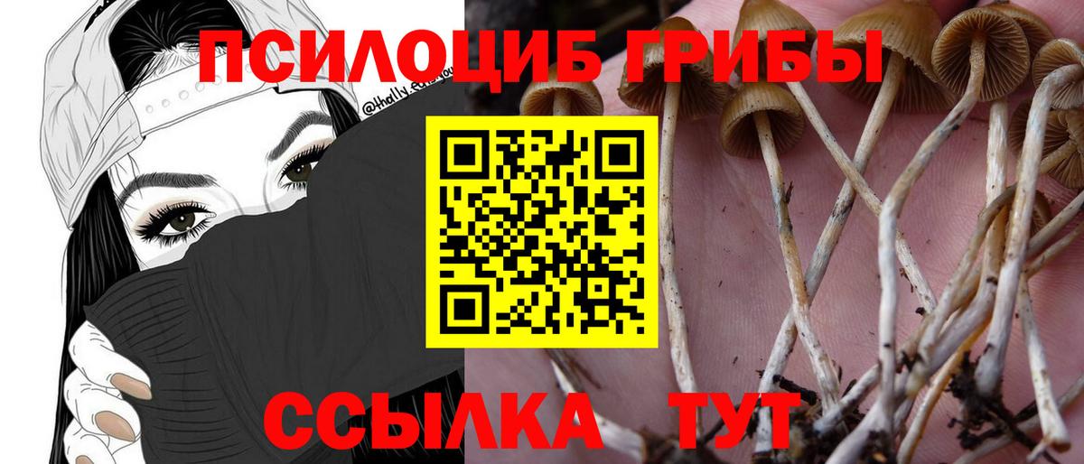 Калач-на-Дону  Конопля  Лсд 25  Меф МЯУ МЯУ кристаллы  Вход с VPN  ГАШИШ  МЕФ 